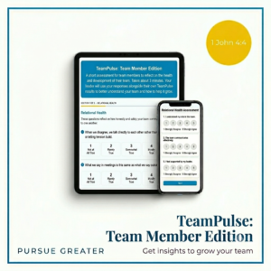 TeamPulse: Team Member Edition